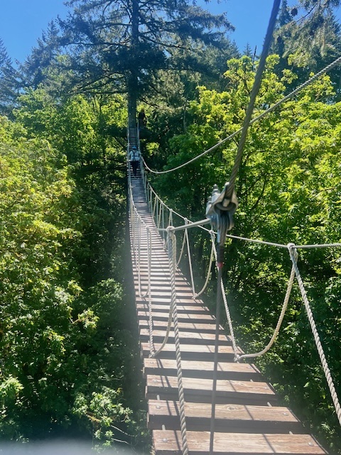 Zip Line Pumpkin Ridge