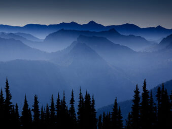 Buck Mountain Trail