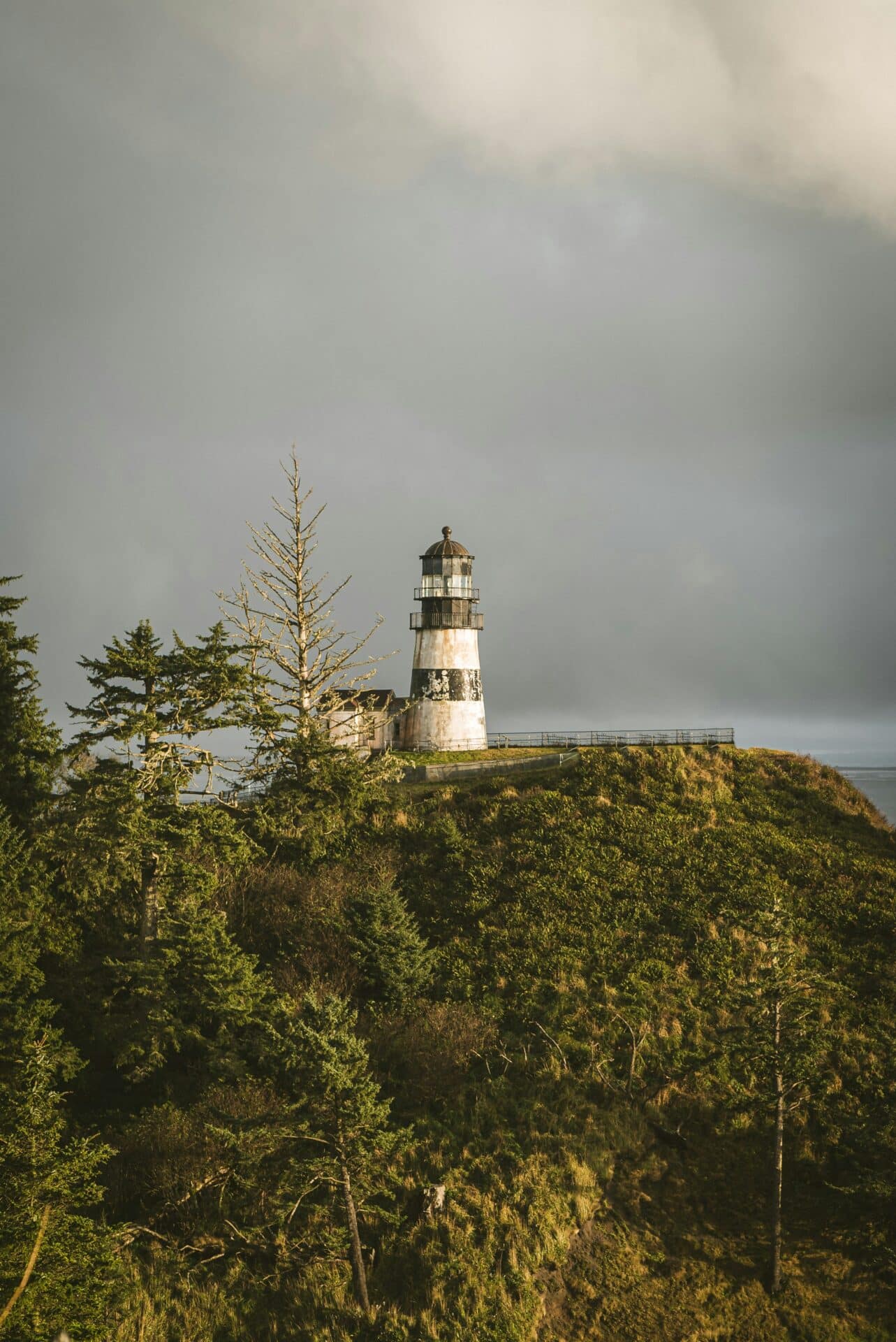 Cape Disappointment