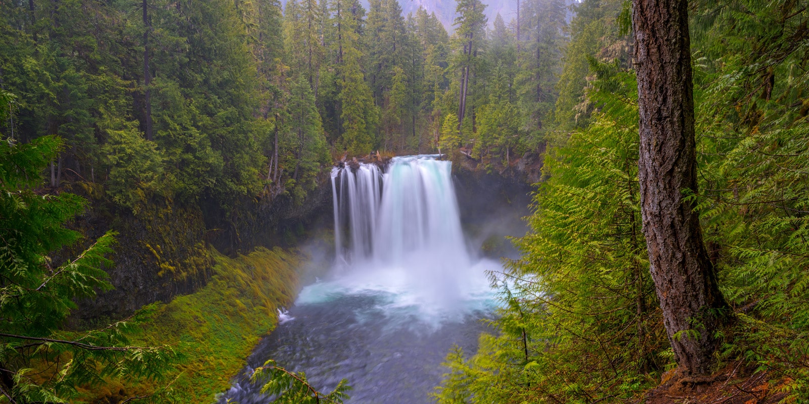 Koosah Falls