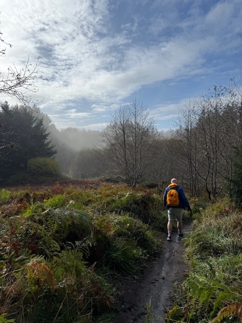 Gods Thumb Meadow