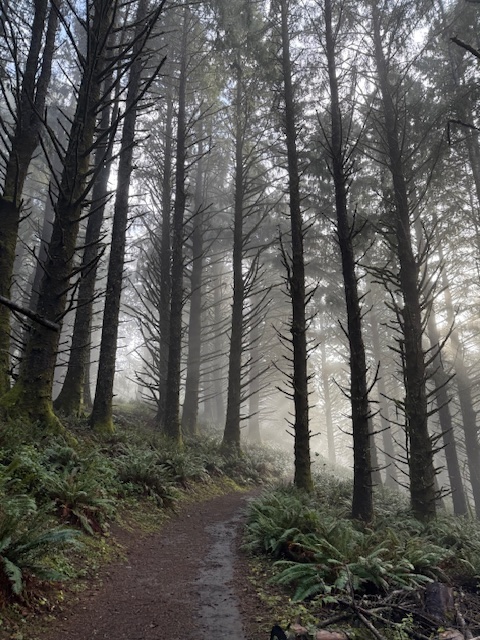 Gods Thumb Oregon Hike